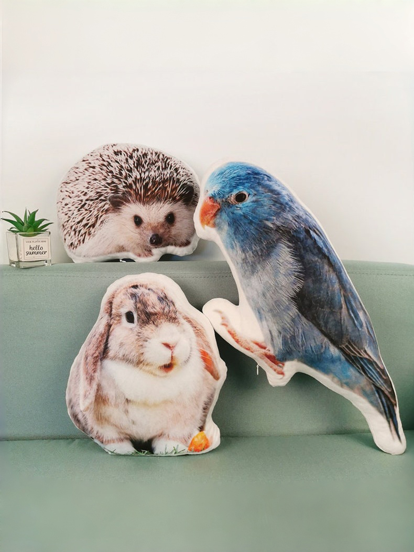 Custom Pet Pillows, Personalized Pillows